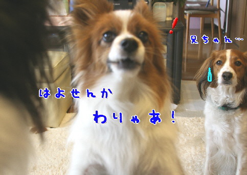 d0013149_2319339.jpg