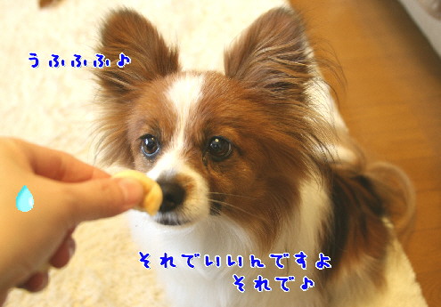 d0013149_23344769.jpg
