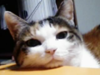 c0121954_2357501.jpg