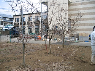 c0127058_17121184.jpg