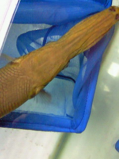 f0009758_22155059.jpg