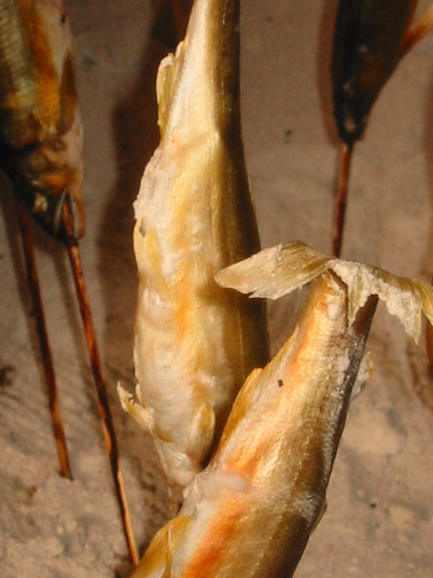 d0094868_1551062.jpg