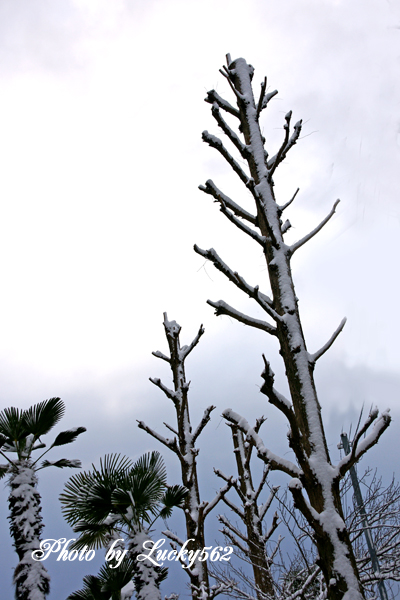 e0002371_7431659.jpg