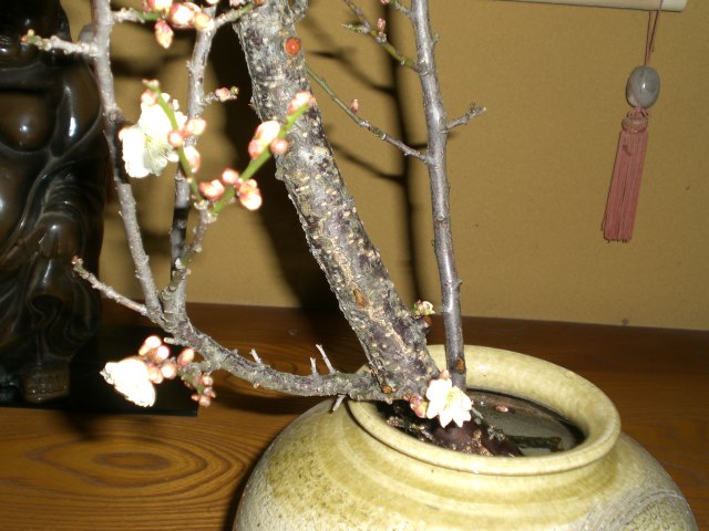 f0153475_12491564.jpg