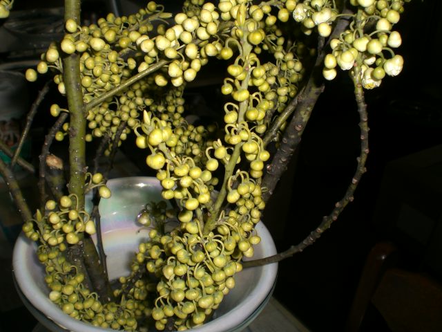 f0153475_1249273.jpg