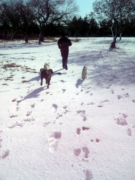 f0133681_18395499.jpg