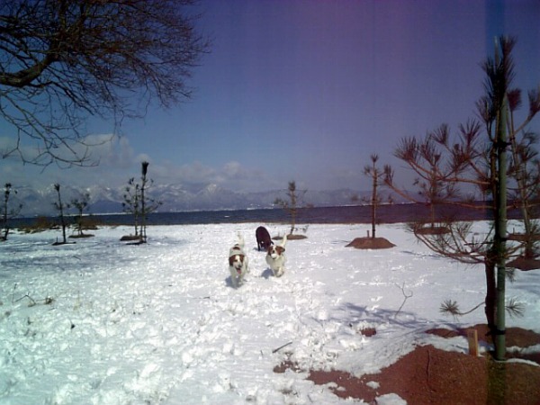 f0133681_1842947.jpg