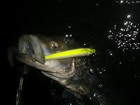 f0069890_135469.jpg