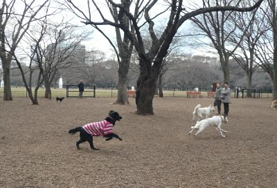 c0050400_21251854.jpg