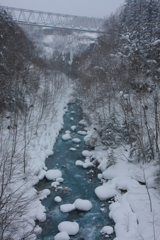 f0002701_7302585.jpg