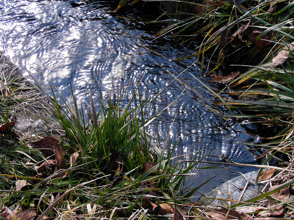 e0129805_891116.jpg