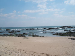 f0048405_13182759.jpg