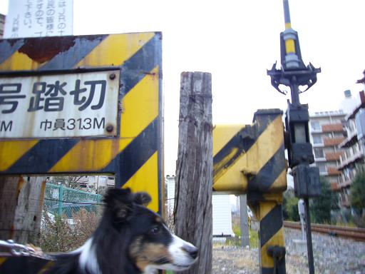 e0130008_1910883.jpg