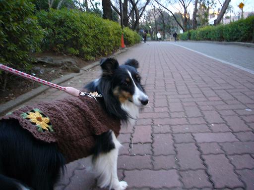 e0130008_19132679.jpg