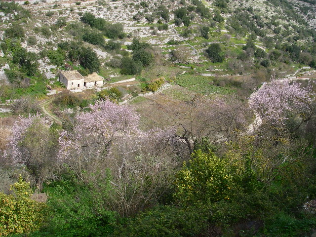 f0133814_8282188.jpg