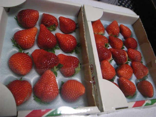 c0056315_2234021.jpg