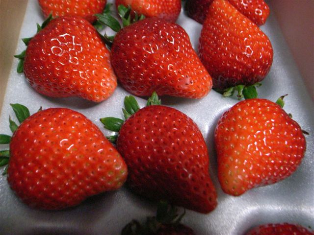 c0056315_224137.jpg