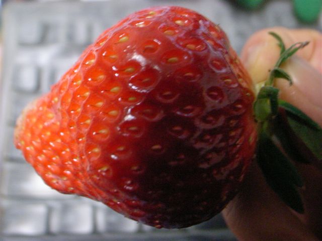 c0056315_2242063.jpg