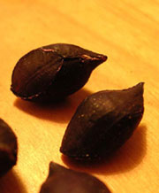 f0036716_1914467.jpg