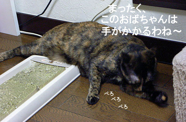 d0081025_20361129.jpg