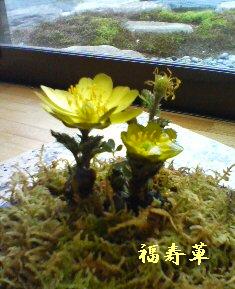 a0098027_14244884.jpg