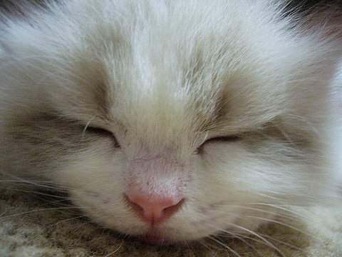 a0062240_20443398.jpg