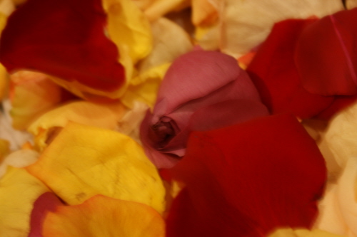 e0104941_12333672.jpg