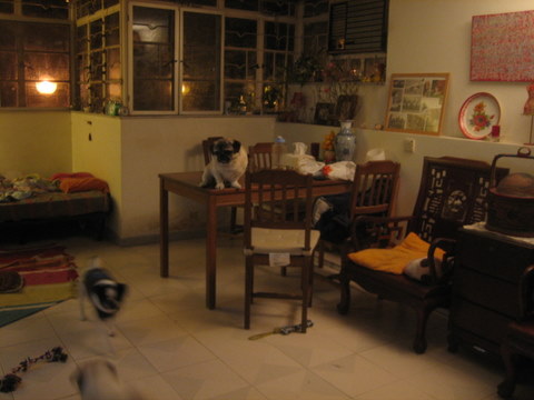 e0018143_1484374.jpg
