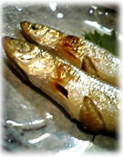e0045847_1221587.jpg