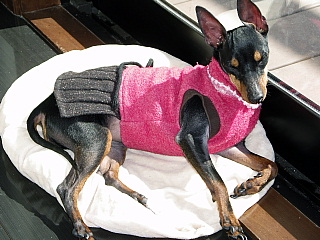 c0123149_15241948.jpg