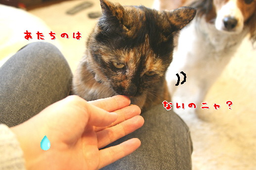 d0013149_0103869.jpg