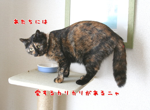 d0013149_0151691.jpg