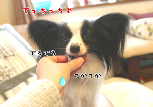 d0013149_044978.jpg