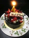d0109551_65245.jpg
