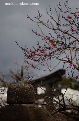 c0145453_21455399.jpg