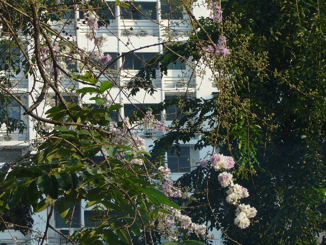 f0057565_2112624.jpg