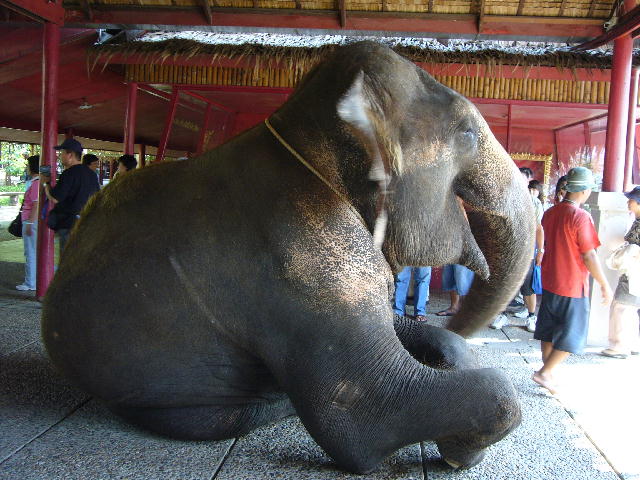 f0057565_22145174.jpg