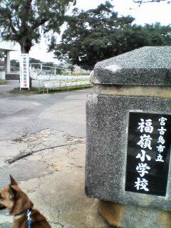 b0117367_19315181.jpg