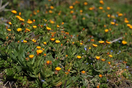 e0054067_2249269.jpg