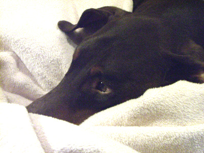 f0025769_121392.jpg