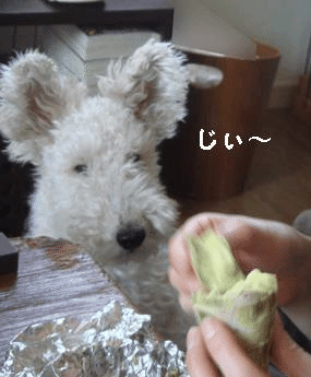 b0091373_2161554.gif