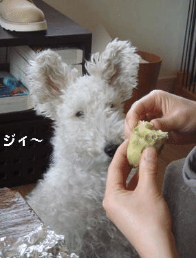 b0091373_2163170.gif