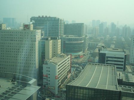 e0004173_93842.jpg