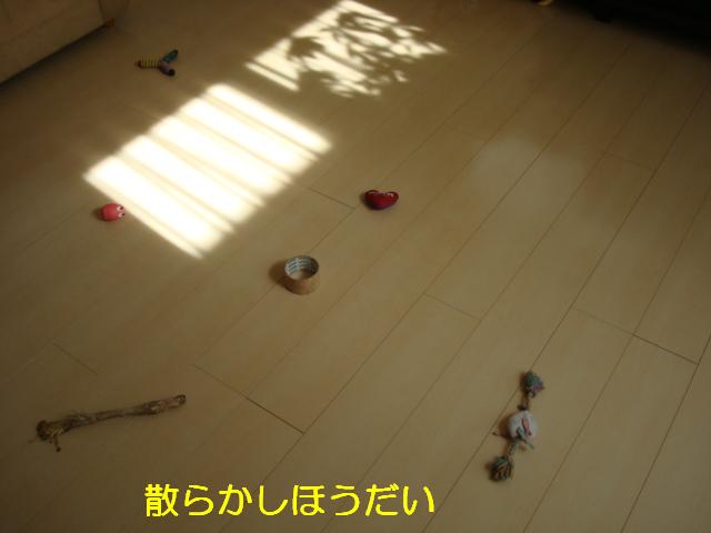 e0134873_14575798.jpg