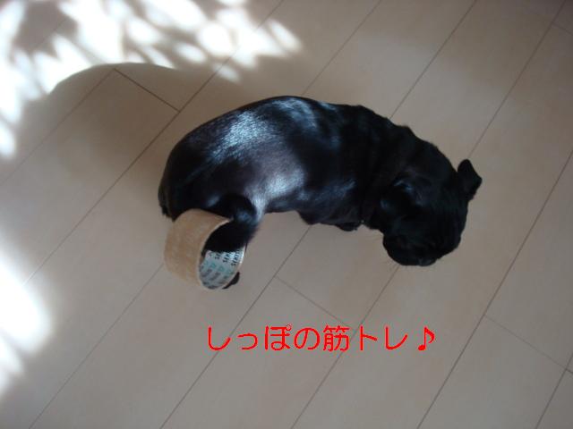 e0134873_15125226.jpg