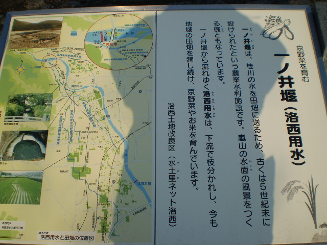 e0117976_1134348.jpg