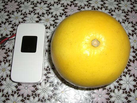f0116278_1351053.jpg