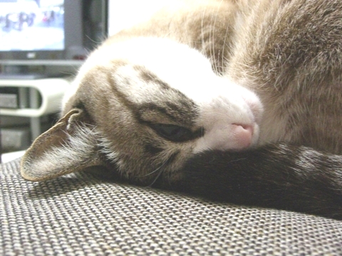 a0013479_012585.jpg