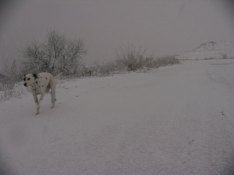 c0072379_2022392.jpg
