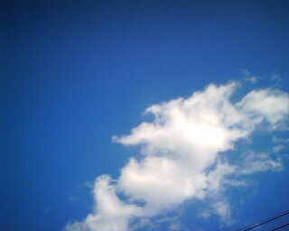 c0140086_172436.jpg